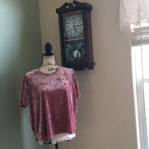 Arizona Velvet Crop Top